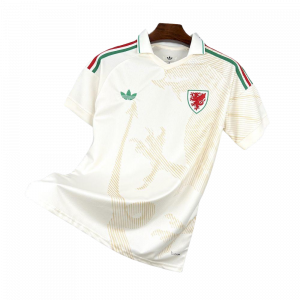 Camiseta Selección Gales Mundial 2026